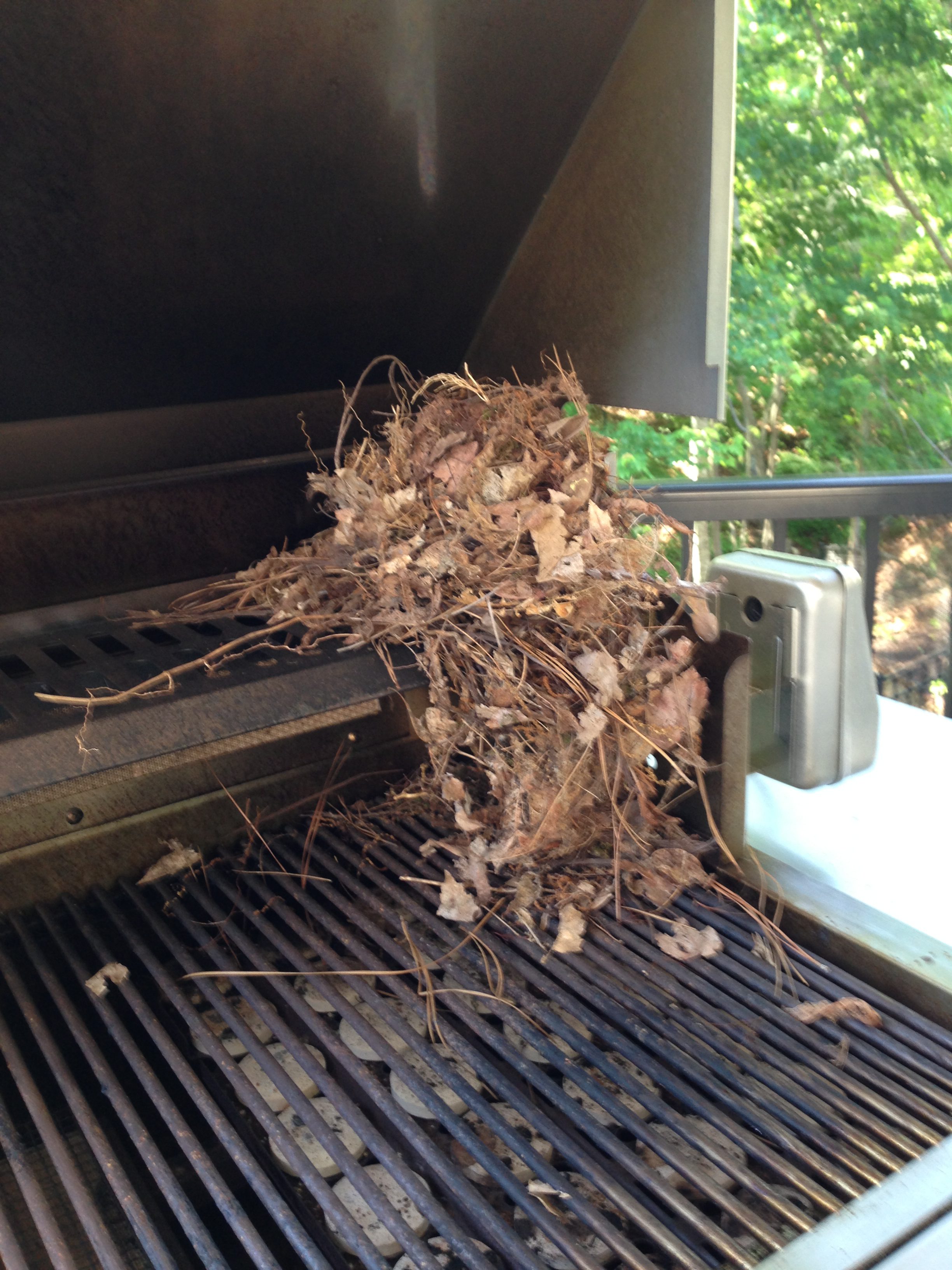 Wren Next Inside BBQ Grill