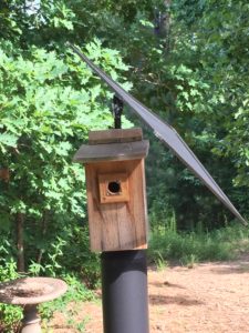 Birdhouse Sun Shade