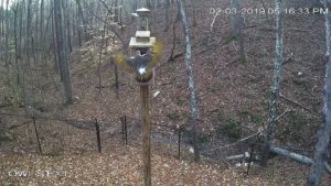 Flicker in Flight